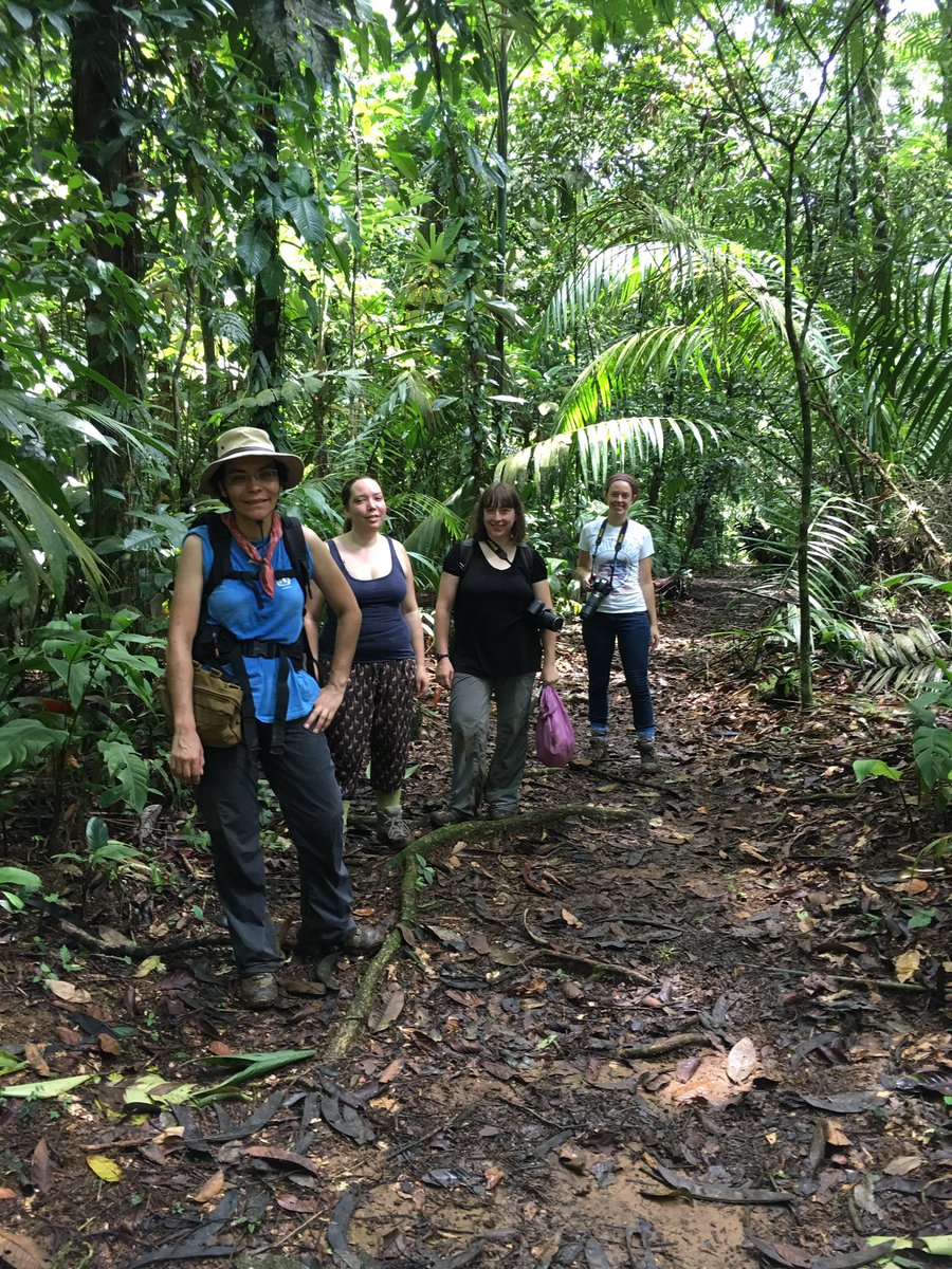 LeithLeiserMill's tweet photo. Davalos, Rossiter and Santana Lab teaming up for piper walk! #laselva #piper @loloyohe https://t.co/y0GJYQeXzr
