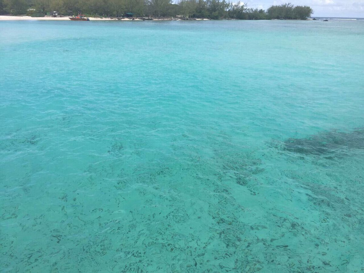 nou_shhh_yyyyy's tweet photo. #Mauritius #mymauritius #tbt #february2017 #catamarancruise #flatisland #gabrielisland https://t.co/cV1B5efjhm