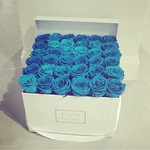 http_Arizona_'s tweet image. Flores, flores e mais flores Por Favor