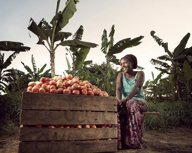 ODI_Global's tweet photo. Read report on how can we create opportunities for #youngpeople in Northern #Uganda’s #agriculture sector https://t.co/10zymHvs3n https://t.co/9dqpIEtZEi