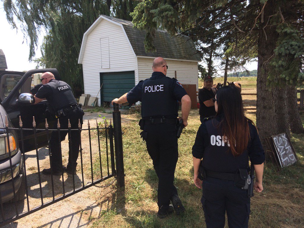 tmedeiros123's tweet photo. .@windsorhumane, @WindsorPolice & OSPCA are on scene of home where ppl have complained of under fed horses. #ckls. https://t.co/g4yxOA8hDI