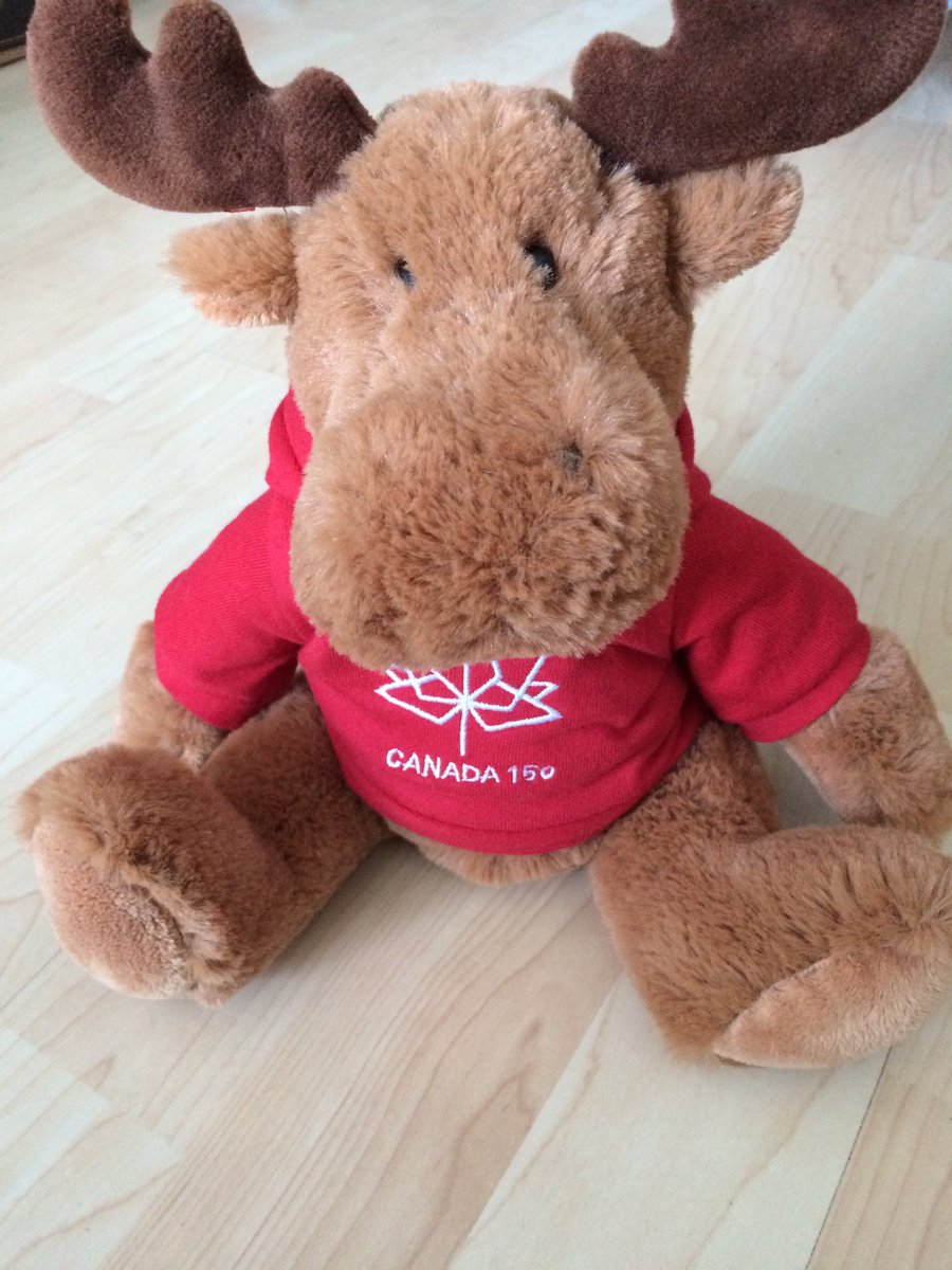 aje_24's tweet photo. The @USPORTSIntl comms team mascot is ready for his big trip to #SUTaipei2017! Liftoff tomorrow morning! 🇨🇦-🇹🇼#GoCanada https://t.co/kpVav4tTk7
