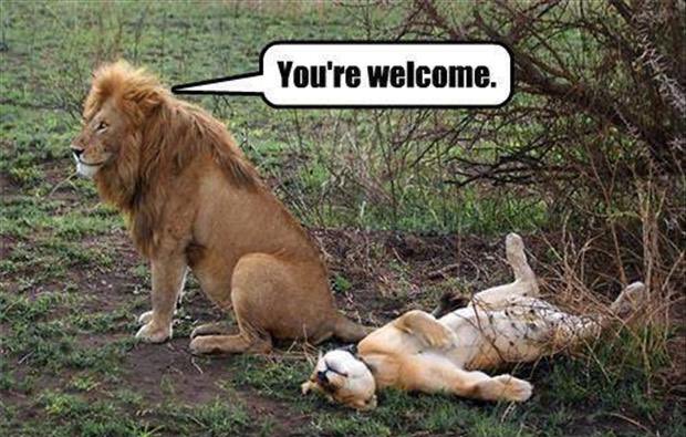 GoT_Tyrion's tweet photo. The Lannisters send their regards 🦁 #WorldLionDay https://t.co/mIjYghibeY