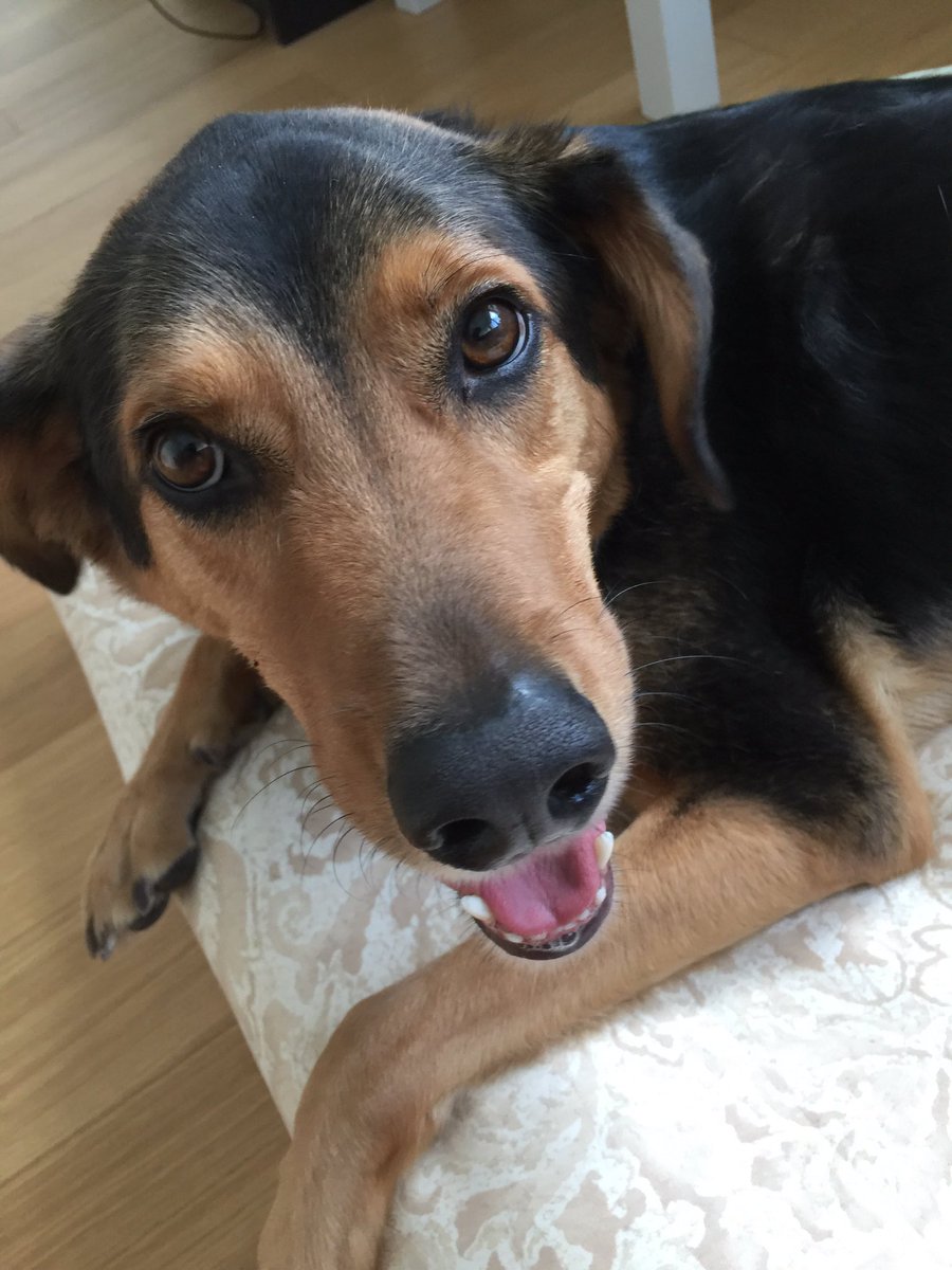 Nicole Jean Leonard tweet media