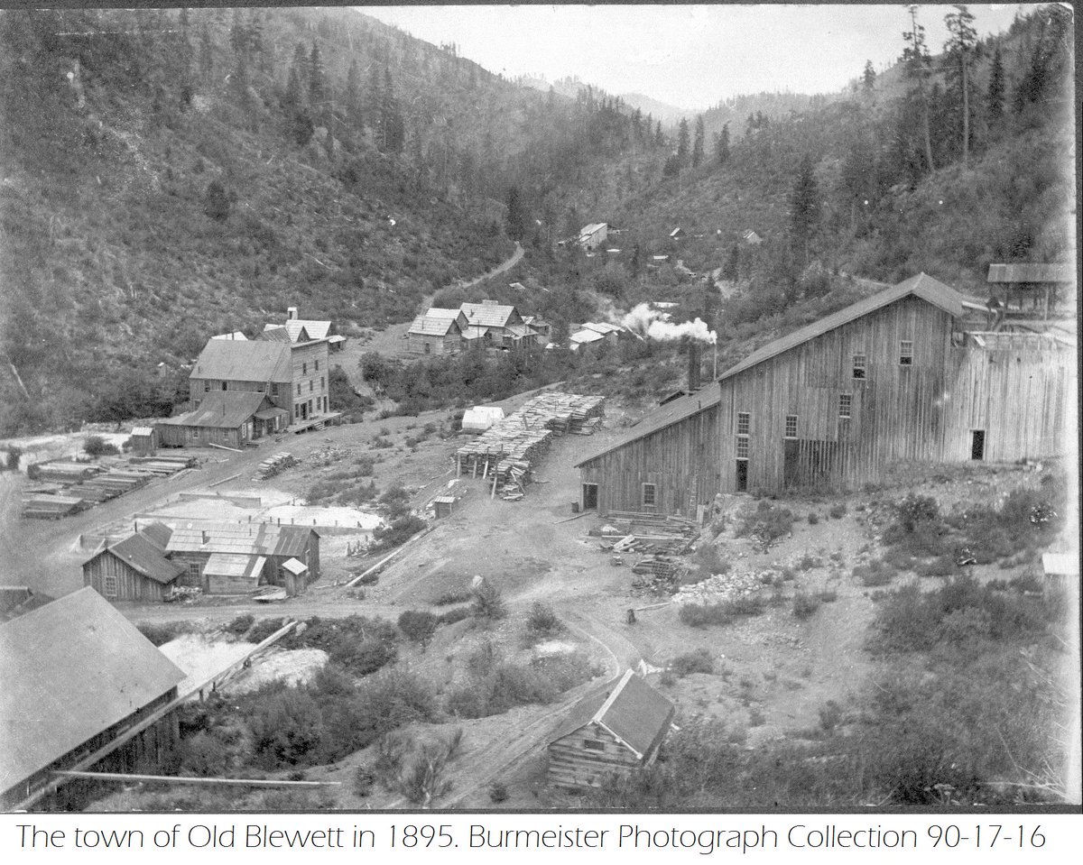 WVMuseum tweet picture