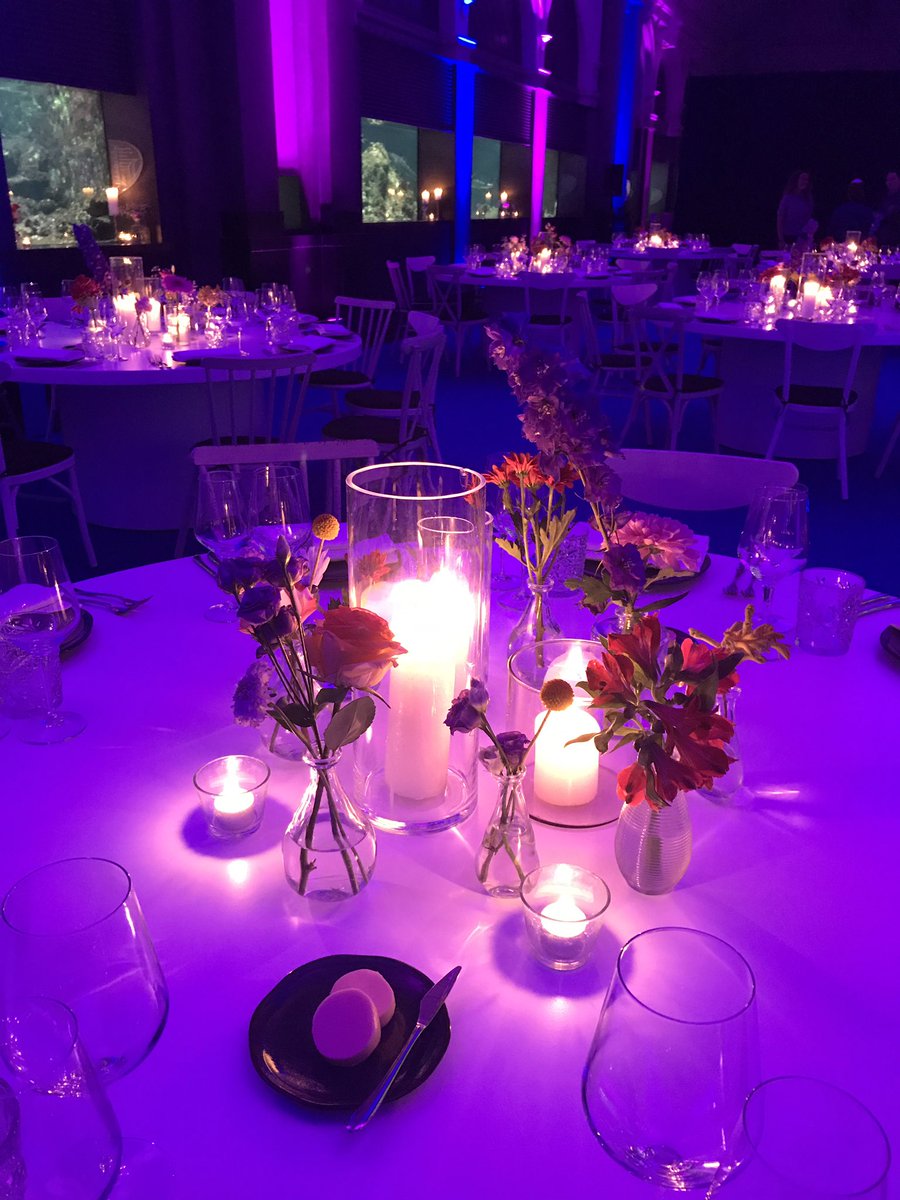 VanDamCatering's tweet photo. We are ready to rumble! ✨ 
We mogen weer een top event verzorgen met een mooi diner en feest in het Aquarium in Artis! #vandamcatering https://t.co/Sn0qhDkOke