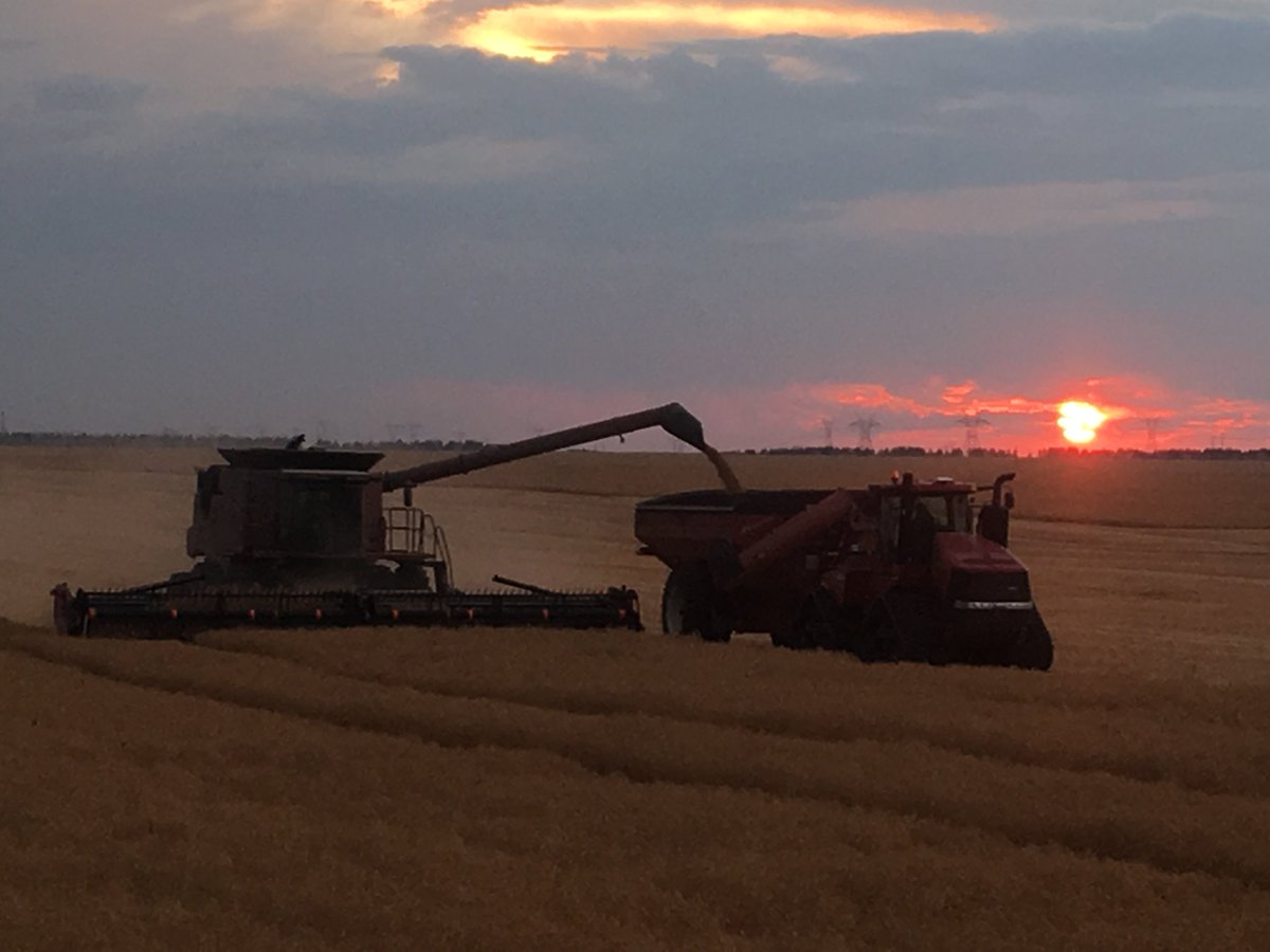 And so it begins! Happy #Harvest17 everyone! 
#GoTime #Peas #Aggies #AgMoreThanEver #FamilyFarm