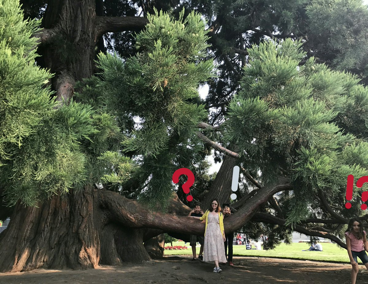 Got some cute photo bombers in Victoria ! Didn't realize that until I check the photo!