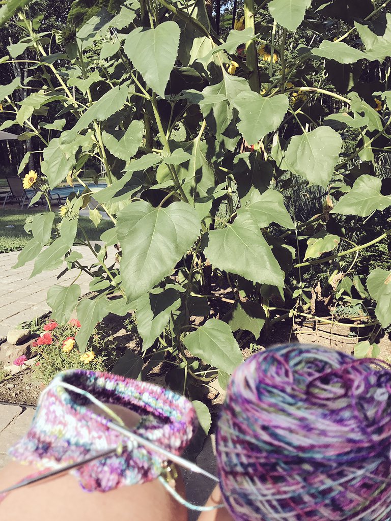 Carrie McKie tweet media