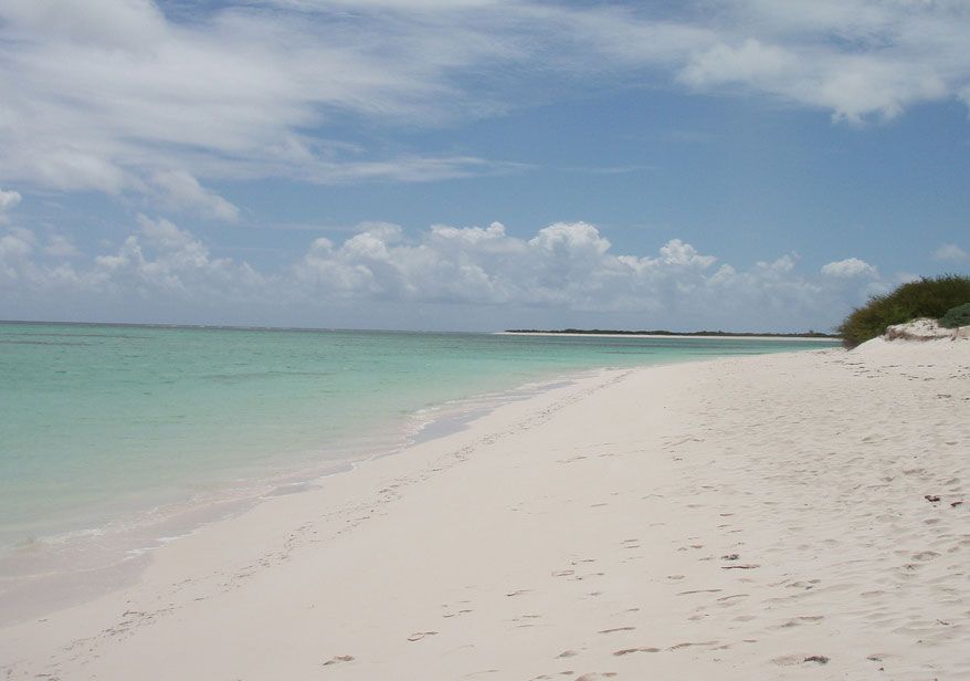 CBWS_VI's tweet image. Which #virginislands beaches do you think we missed? #usvi #bestbeaches buff.ly/2v2TzUd