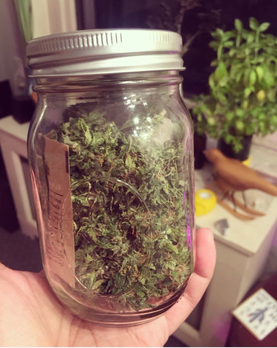 DapperGrower tweet picture