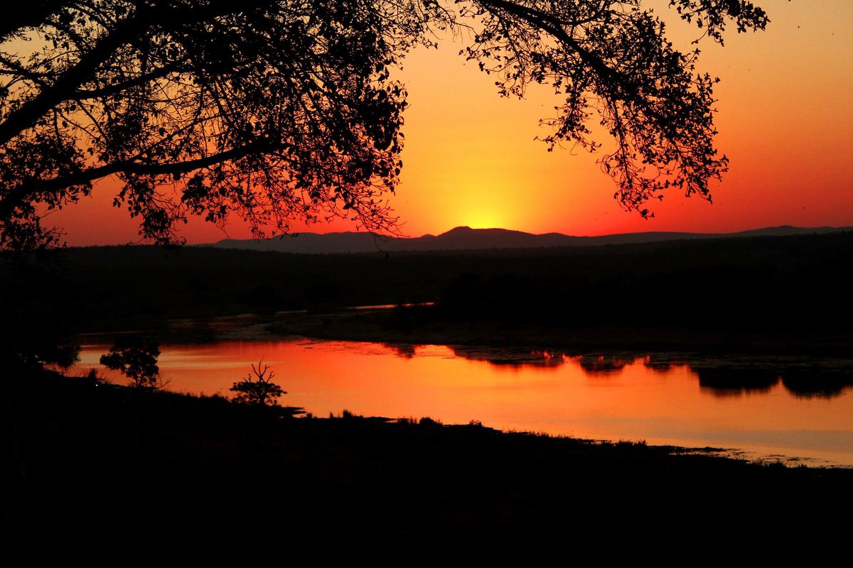 BuhalaLodge's tweet photo. What a perfect place to enjoy an #African sunset... on our deck with a drink. Thank you @Joyce Edwards for the great pic! #buhala #kruger https://t.co/2ibZpQ9gXs