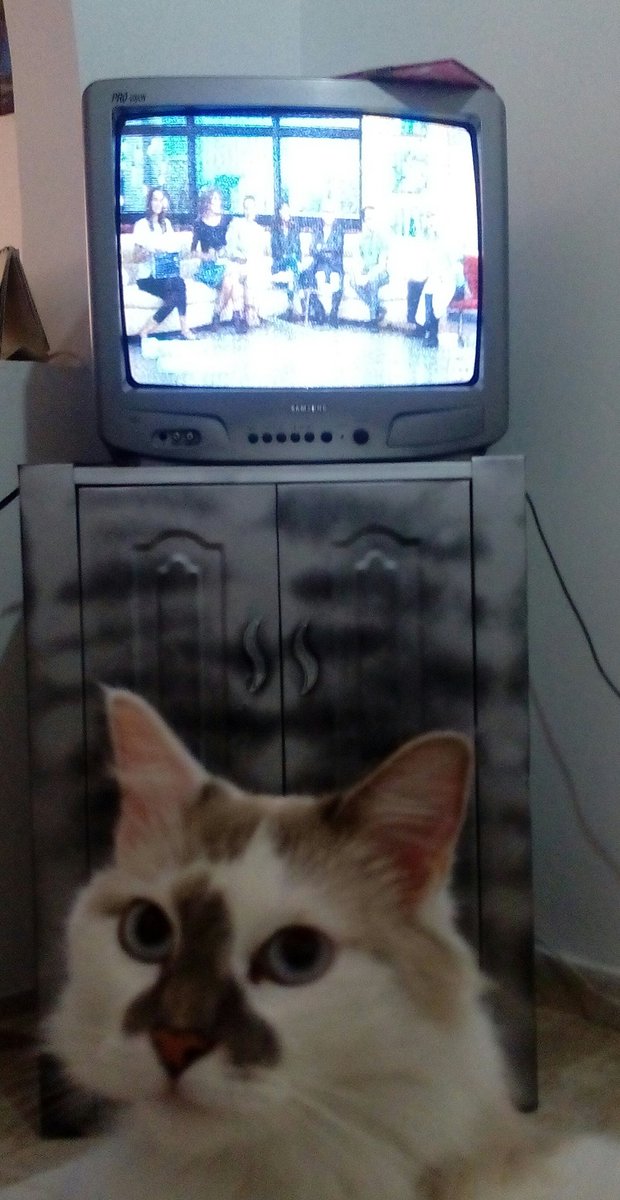 ______LV's tweet photo. @MBDRCN  #LoMaximoMBD https://t.co/R4ImmPpSXB