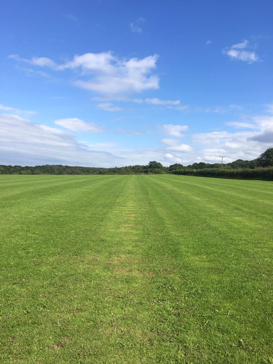 Conroy Polo tweet media