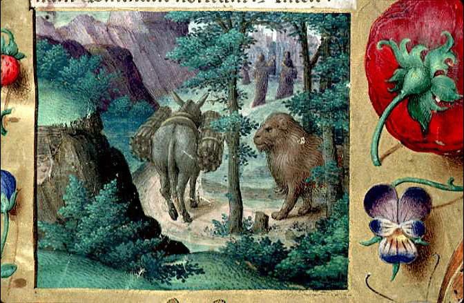 lore_derail's tweet photo. #worldlionday le Roi des animaux à Lyon #MsLyon https://t.co/dlvlTuQZaM