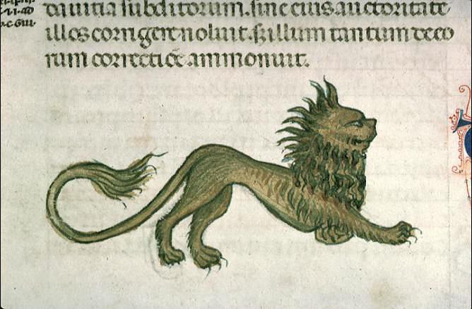 lore_derail's tweet photo. #worldlionday le Roi des animaux à Lyon #MsLyon https://t.co/dlvlTuQZaM