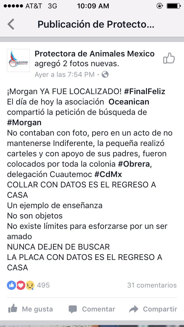 abejaconmiel's tweet photo. :'3 fe en la humanidad 30% restaurada: https://t.co/2YCT344Jmc