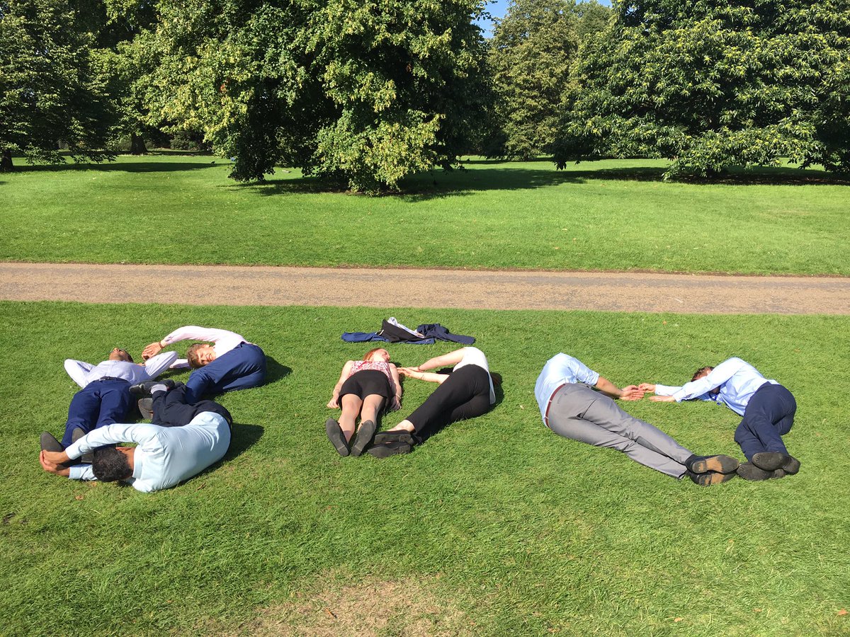 FionaRees96's tweet photo. Steady turtles @BDO_Trainees_UK @bdoaccountant #bdosummerinterns2017 #steadyturtles https://t.co/PQlts4vaVH