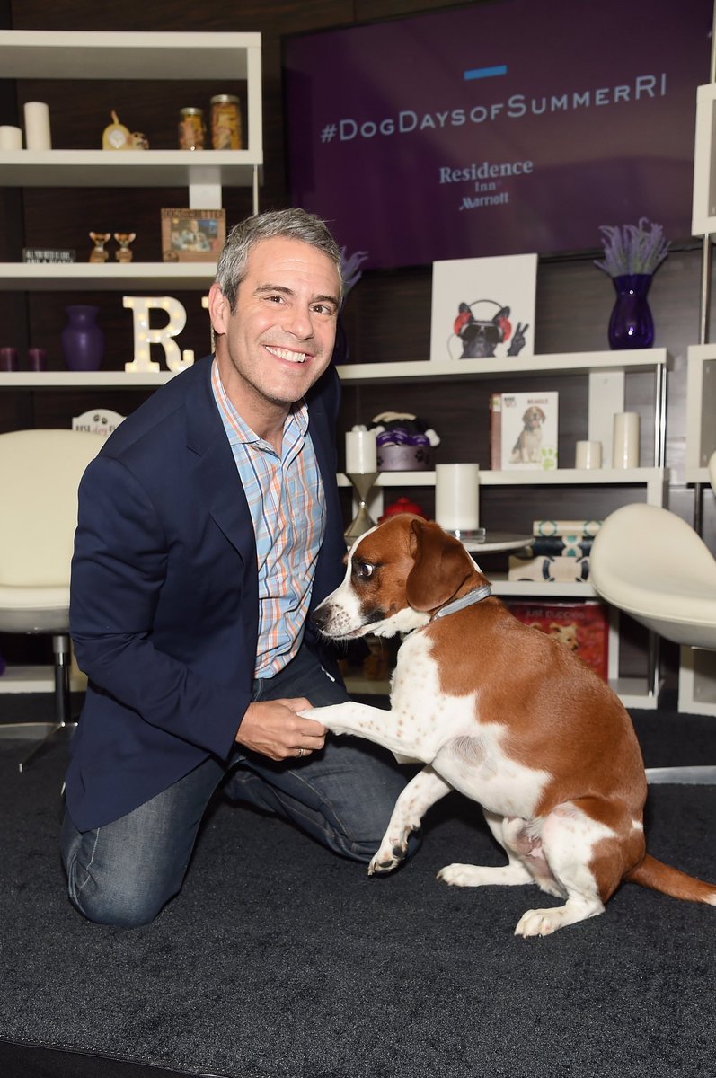 Andy's tweet photo. My best friend and I are helping some pups get adopted today with @AnimalLeague & @ResidenceInn. #ad #RIDogDaysOfSummer https://t.co/pvoMCWxTmM