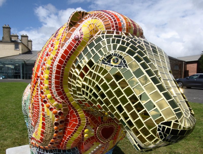 Meet Clyde the lion, leader of the pack at the <a href="/2017BigStampede/">bigstampede2017</a>! Get in touch to find out how to bid for Clyde at our auction! #worldlionday