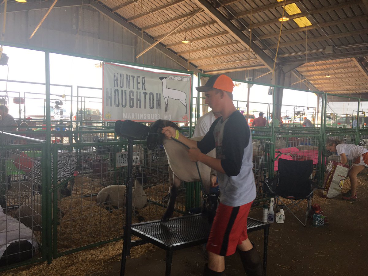 And this is what the <a href="/MoStateFair/">Missouri State Fair</a> is about, the culmination of a year of work for the next generation of MO agriculture. #ComeHome2017
