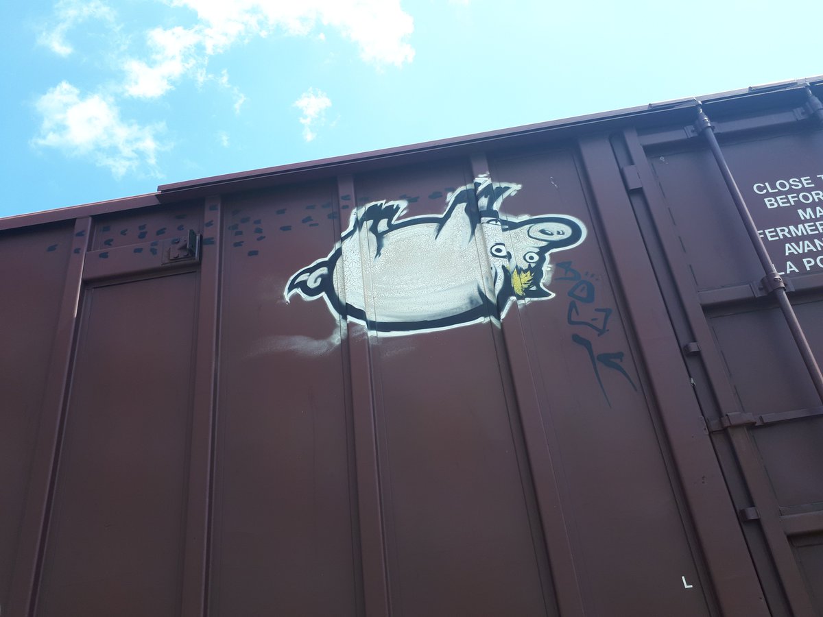PurplePurrp's tweet photo. SPIDER PIG #SOAK #TRAINWRITERS #PHOTOGRAFFDDICT https://t.co/9W3Zh8SQb3