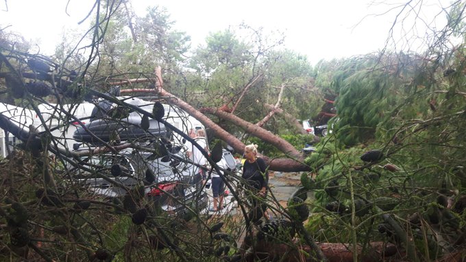 View image on Twitter View image on Twitter