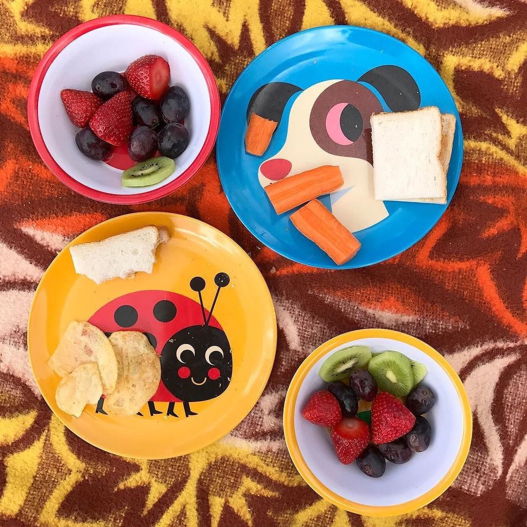 Retrokidsonline's tweet photo. Our animal plates and bowls are perfect for picnics 🙌🏻 check out our meal times section online #retrokids #ingelaparrhenius #ommdesign #ani… https://t.co/y9igzqvwD8