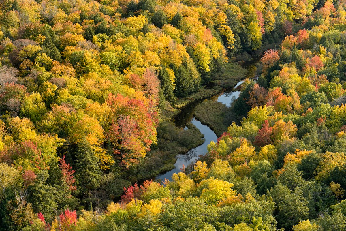 SOGL's tweet photo. We're pleased to announce $7.48 million in grants to restore fish &amp; wildlife habitat in the Great Lakes https://t.co/8gLRHHaWR1 https://t.co/Yp7zGVcSnj
