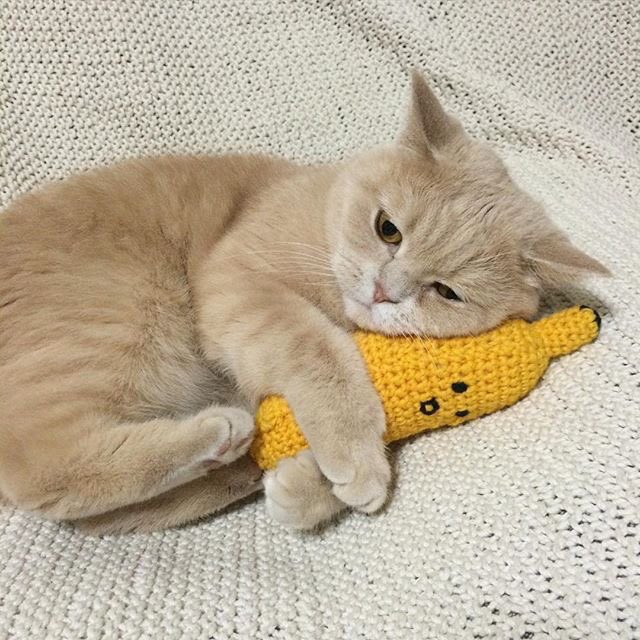 pinkar9's tweet photo. ของเค้านะห้ามยุ่ง.. https://t.co/8LdGdjdbY2