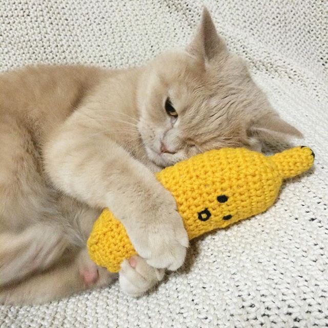 pinkar9's tweet photo. ของเค้านะห้ามยุ่ง.. https://t.co/8LdGdjdbY2