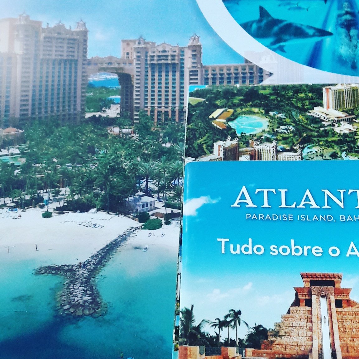 EqualityTurismo's tweet photo. Atlantis Bahamas! Uma opção de caribe mágica... E não só para quem tem visto...
🏝🍹🦀🐳🐙⛱
#EqualityTurismo #atlantis #Orinter #Bahamas https://t.co/KlGuqPfFiA