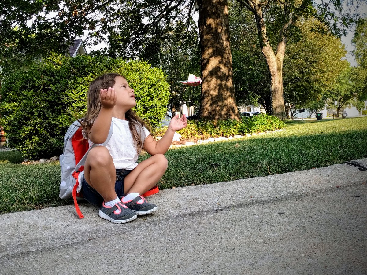 fatheringthree's tweet photo. "What's up with these rolly polly bugs? This one's not rolling up when I touch him." #SecondDayOfSchool #FirstWorldProblems https://t.co/8ag7zeeB7r
