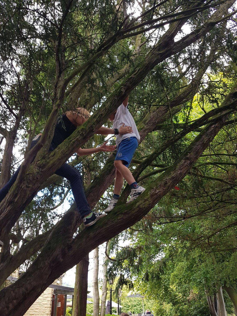 customtint's tweet photo. Rescuing small people from tall trees. A change from the cars! 🤣

#customtint #mumtotherescue # https://t.co/vRS7jZR1So