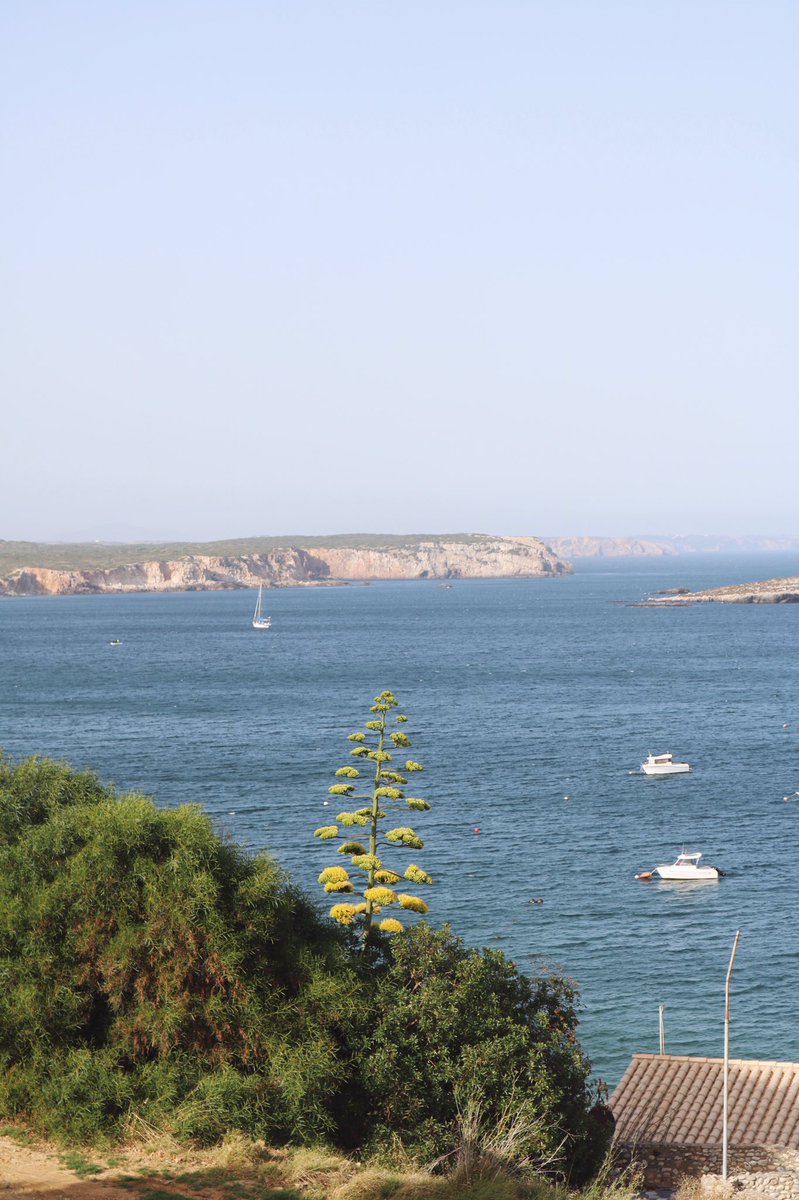 Portugal has been very windy lately, but unbeatable views like this one and lots of sunshine still make it worth! 😍☀️ #memmobaleeira