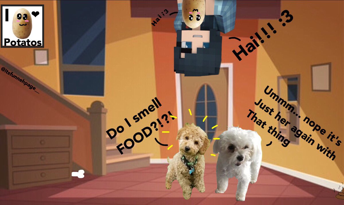 itsfunnehpage__'s tweet photo. Here's the photoshop of da puppies ❤️🐶🐶 @ItsFunneh @RainbowsYT @Lunar3clispe @GoldenGlare_ @DraconiteDragon https://t.co/hQd4Pk7Vqq