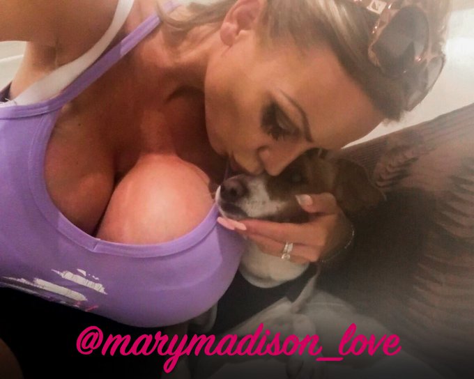 🌸G🏀🏀d evening♥️ Last days in italy with my great love 🐶♥️😍
#marymadisonlove  #marymadison #marymadisonxxx
#gobiggger