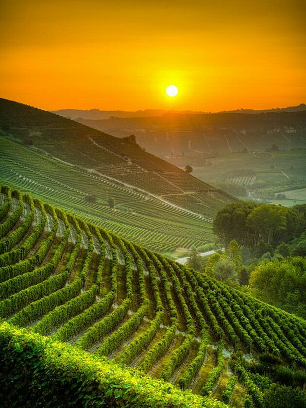 vilaandrealili1's tweet photo. #TT4F
@TheTT4F @malindadevil 
@V2_N_St0 @GualuCL 
@HotSonna1 @malindadevil 
@devilsright @MGWVFlower462 
@ginestarros @ZigIar @MGWV1oo https://t.co/ozupnyG4wd