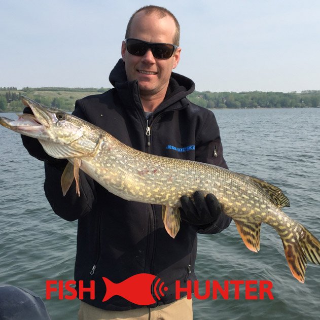 FishHunterApp's tweet photo. FishHunter's Catch of the Week
#FishHunter #catchoftheday #knowwheretocast #tightlines #fishing #angler https://t.co/ukcxp8lFJL