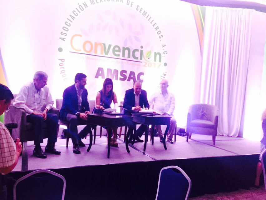 DGSIAP_Mx's tweet photo. #Agenda | La Lic. @PattyORuiz introduce la labor que realiza el SIAP y firma convenio de colaboración entre @SIAP_SAGARPA-@AMSACSemilleros. https://t.co/xQVO4fEUWk