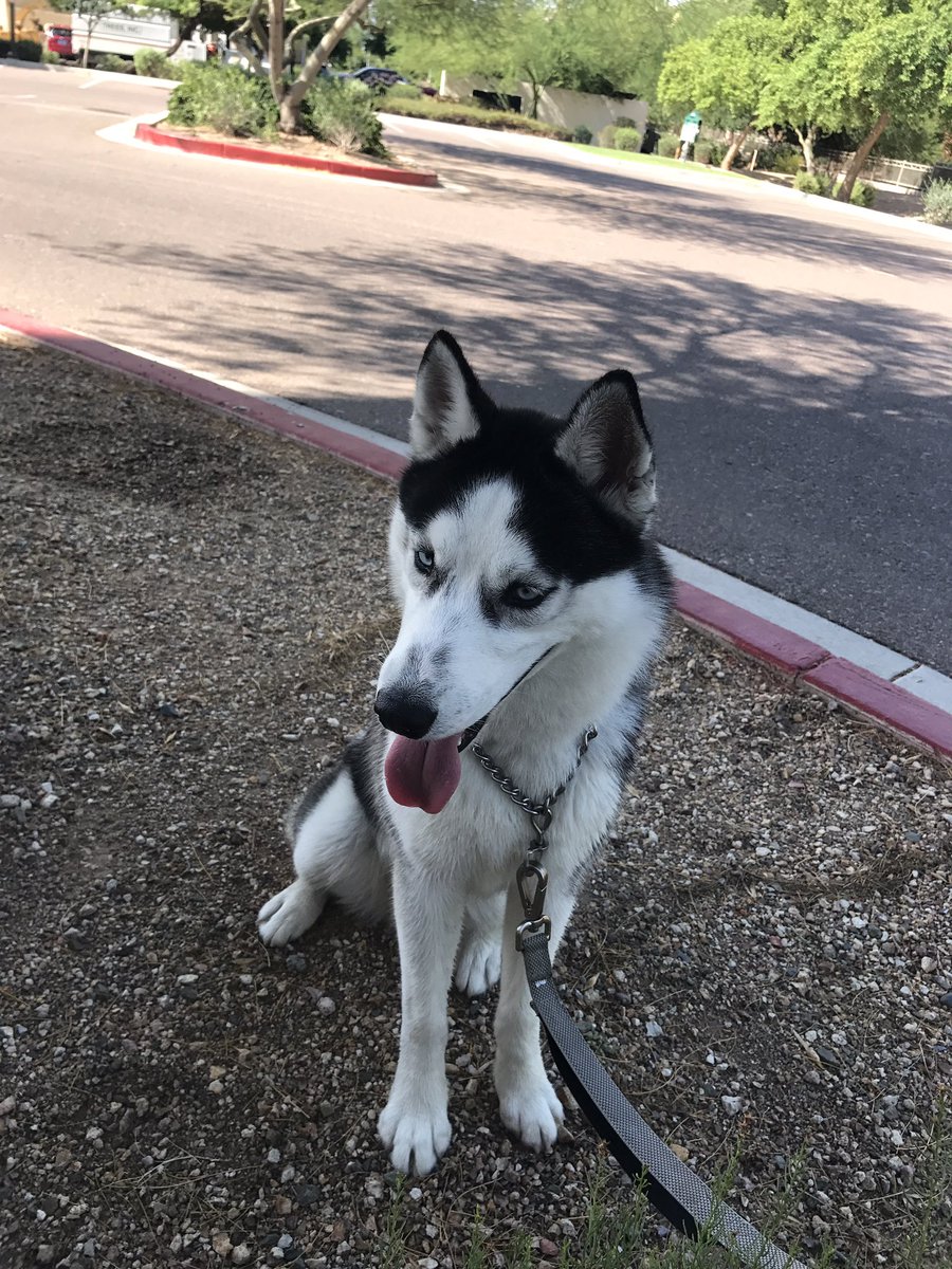 kadanbrady's tweet photo. AZ heat in the summertime 😓 https://t.co/V2Qqg6bbIk