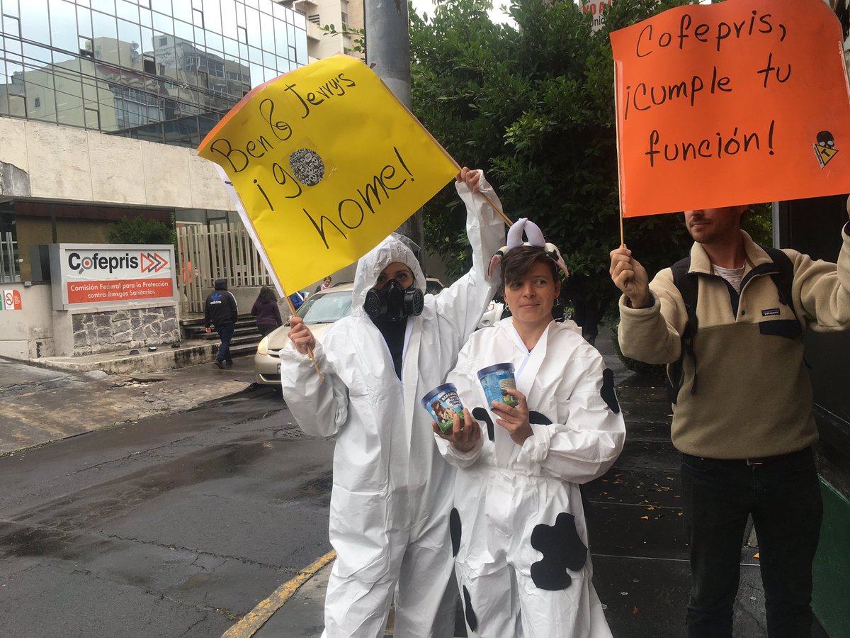 ConsumidoresOrg's tweet photo. Ya listo todo para exigir a @COFEPRIS regulaciones para evitar glifosato #malaleche #dumpbenandjerrys https://t.co/pxqGnG1UB0