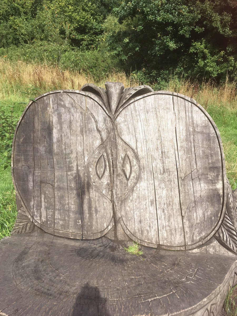 Orchardcleanin4's tweet photo. #sunshine #apple #bench #relaxing #walk #after #hard #day #orchardcleaning #callforquote #busy https://t.co/NhqxELrpmT