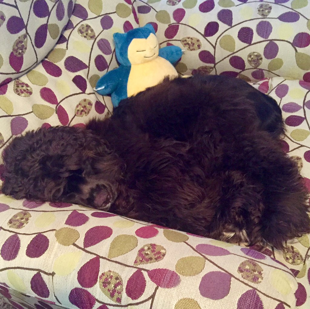 wrinkle05's tweet image. 