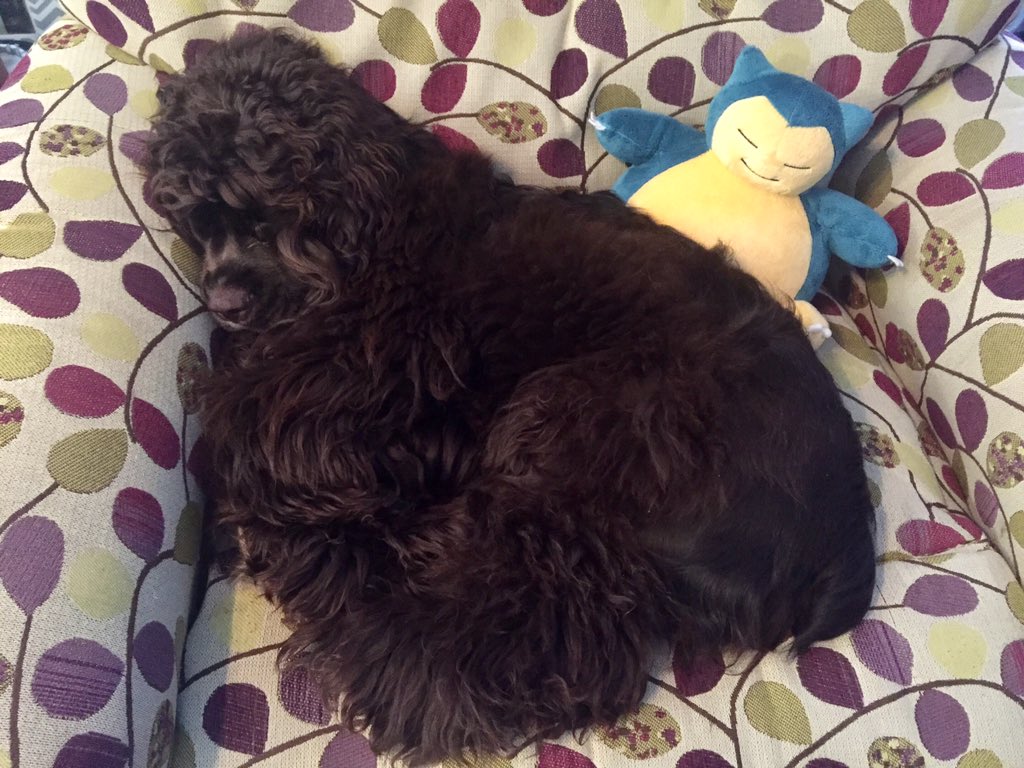 wrinkle05's tweet image. 