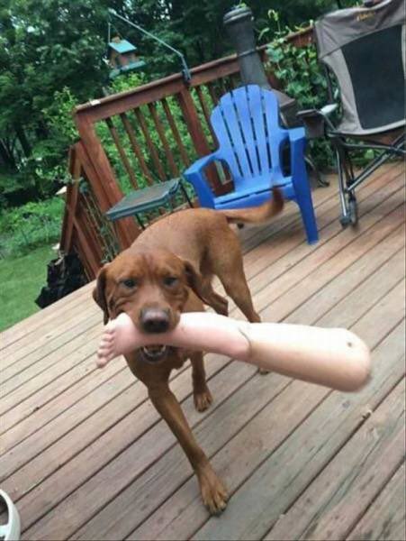 DG4um8DXoAAB2m_.jpg:large