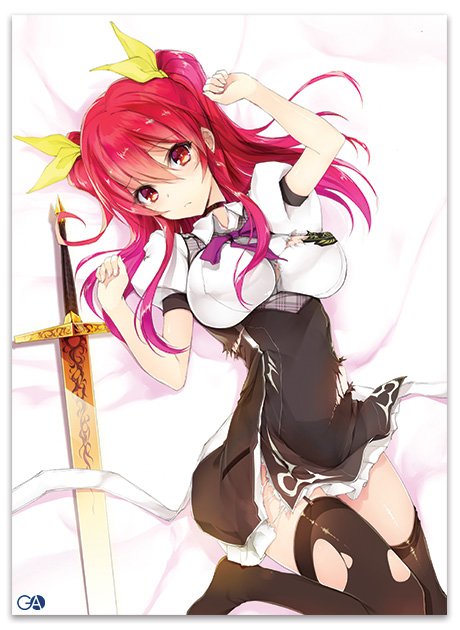 Rakudai Kishi no Cavalry Volume 13 Clean Cover / Limited Edition. 