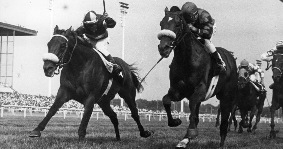 Fun Facts About the #WinAndYoureIN <a href="/arlington_park/">Arlington International</a> Million #BCSweepstakes - sot.ag/6zjmX