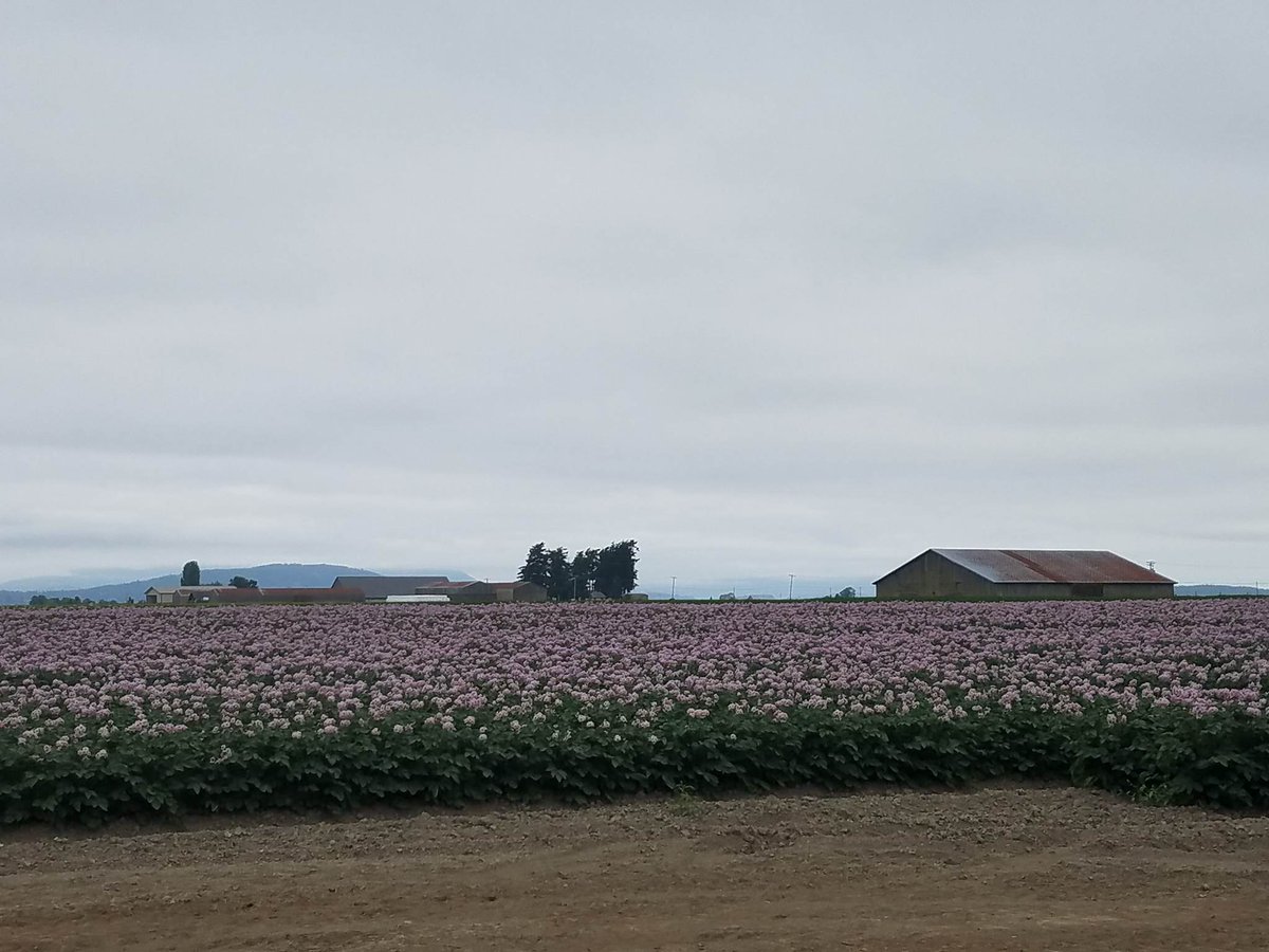 shadowmonster4's tweet image. soo beautiful