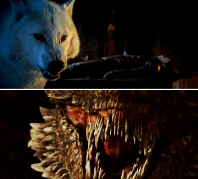 BasileiaSnow's tweet photo. Defendiendo a la familia 🐉🐺

#GoTS7 #GoT7x04 #VivePoniente #JuegoDeTronos #gameofthrones https://t.co/Hs2EjTQFyi